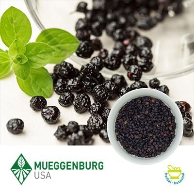 Elderberry Fruit, Whole (Organic) by Mueggenburg USA