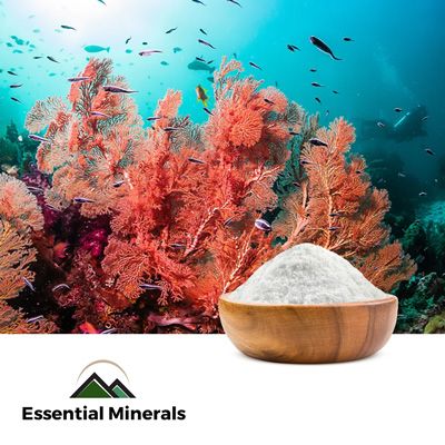Coral Calcium Powder 325 Mesh by Essential Minerals