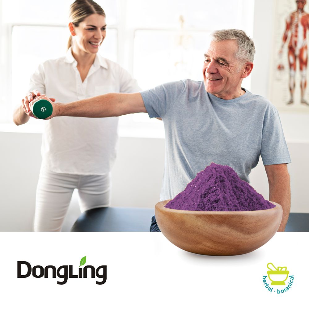 Bilberry Extract 18% Anthocyanidins 25% Anthocyanins by Dongling