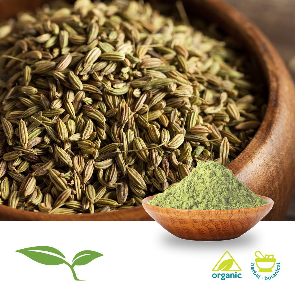 Purchase Bulk Fennel Seed, Ground Ingredients Online