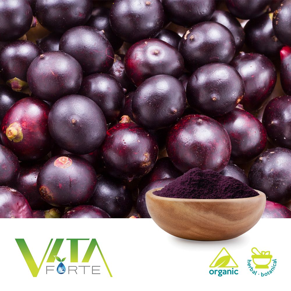 Freeze Dried Acai Organic Powder 50% by Vita Forte, Inc