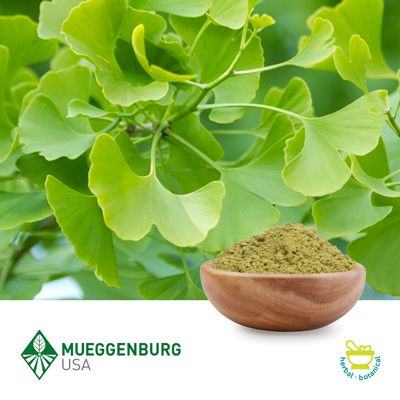 Ginkgo Biloba Leaf, Powder by Mueggenburg USA