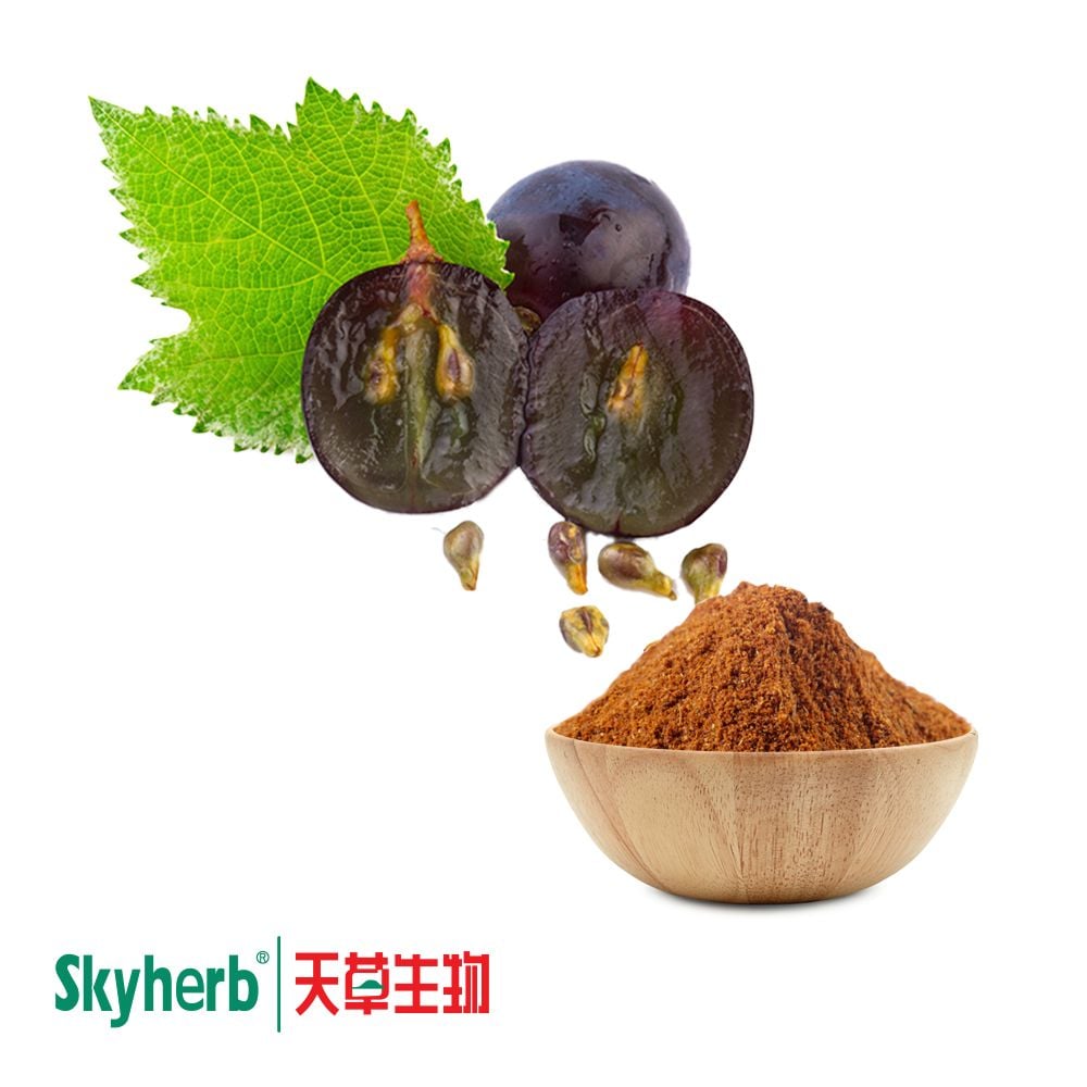 Grape Seed Extract 95% Proanthocyanidins by Skyherb