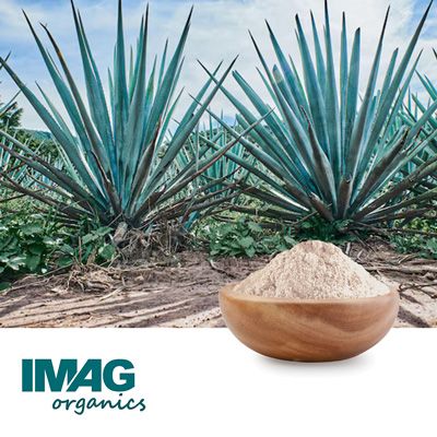 Agave Inulin Powder Bulk Organic Blue Agave Inulin Powder | Ingredients Online