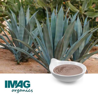 Organic Raw 100% Blue Agave Syrup by IMAG Organics