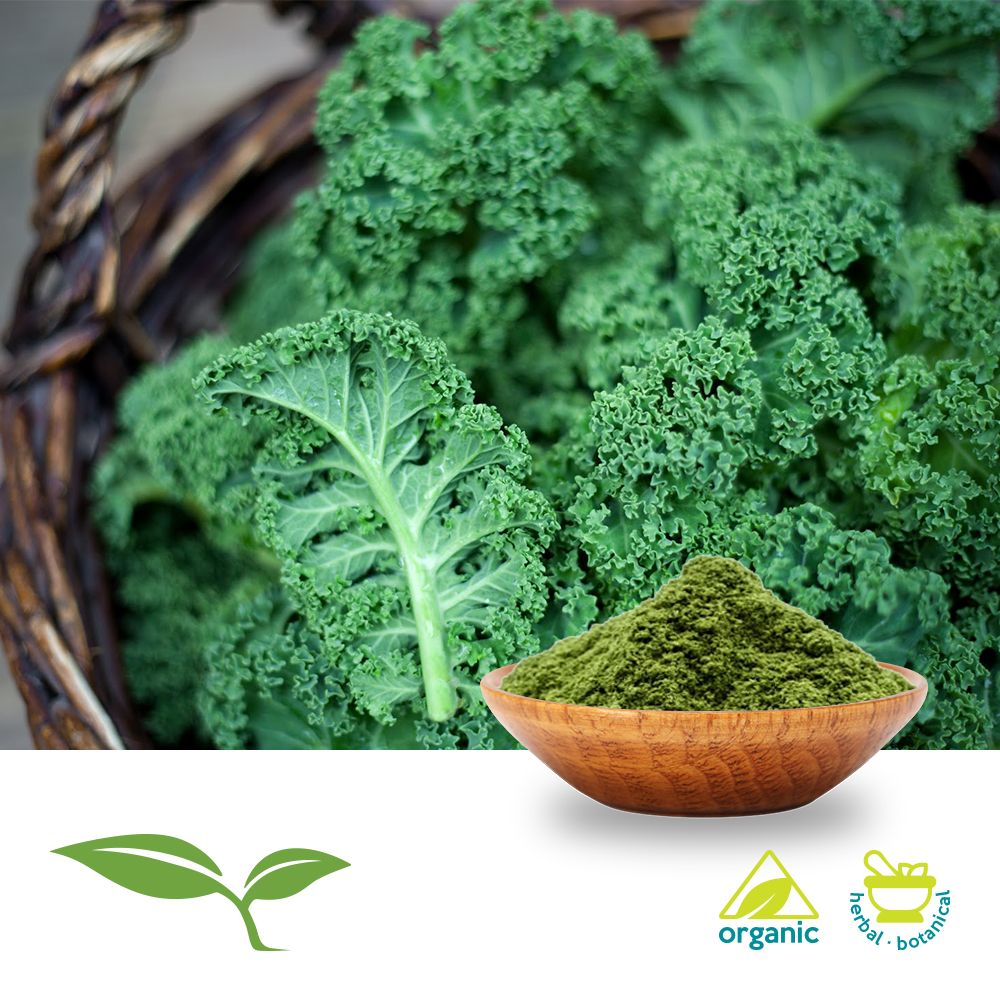 Kale Powder (Organic) by American Botanicals