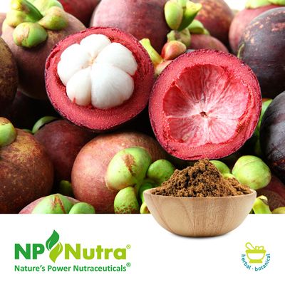 Mangosteen Pericarp Powder by NP Nutra