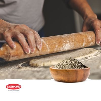 Engevita® Toasted Flakes by Lallemand Bio Ingredients