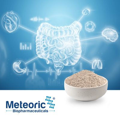Bacillus Coagulans 100 Billion (MB BCM9)  by Meteoric Biopharmaceuticals