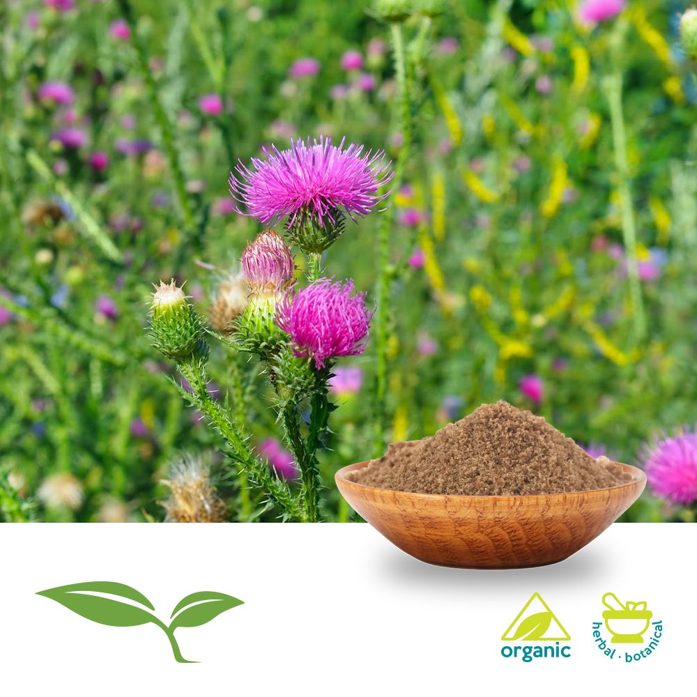 Milk Thistle Seed Powder (Organic) by American Botanicals