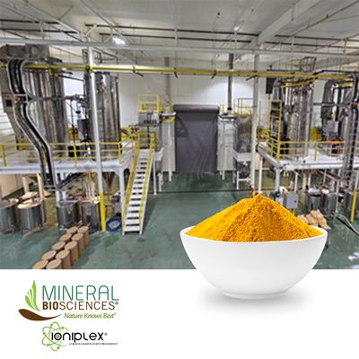 Ioniplex® Powder - Fulvic Acid by Mineral BioSciences