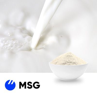 Instant Whey Protein Isolate 90 Non-GMO by Milk Specialties Global