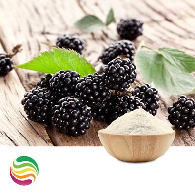 Natural Blackberry Flavor Powder by Custom Flavors
