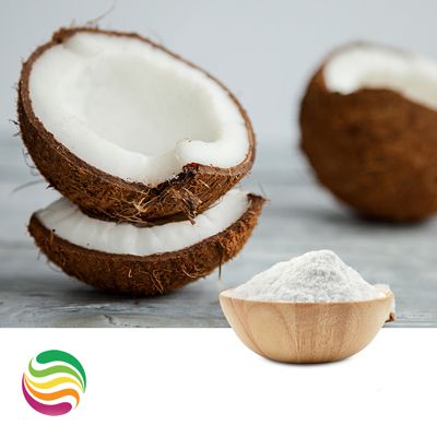 Natural Coconut Flavor Powder by Custom Flavors