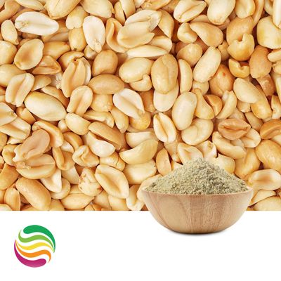 Natural Peanut Flavor Powder by Custom Flavors