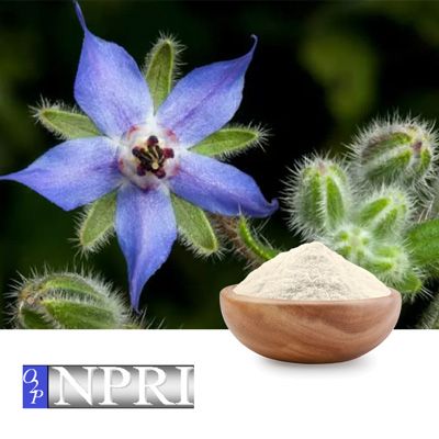 Borage Oil Powder on Tapioca Dextrin by NPRI O2P