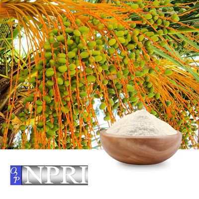 MCT Oil Powder 70% on Gum Arabic by NPRI O2P