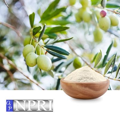 Olive Oil Powder on Gum Arabic by NPRI O2P