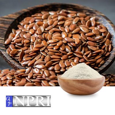 Flaxseed Oil Powder on Tapioca Dextrin by NPRI O2P