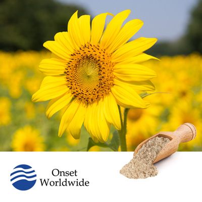 Nitro-Milled® Conventional Sunflower Kernels by Onset Worldwide