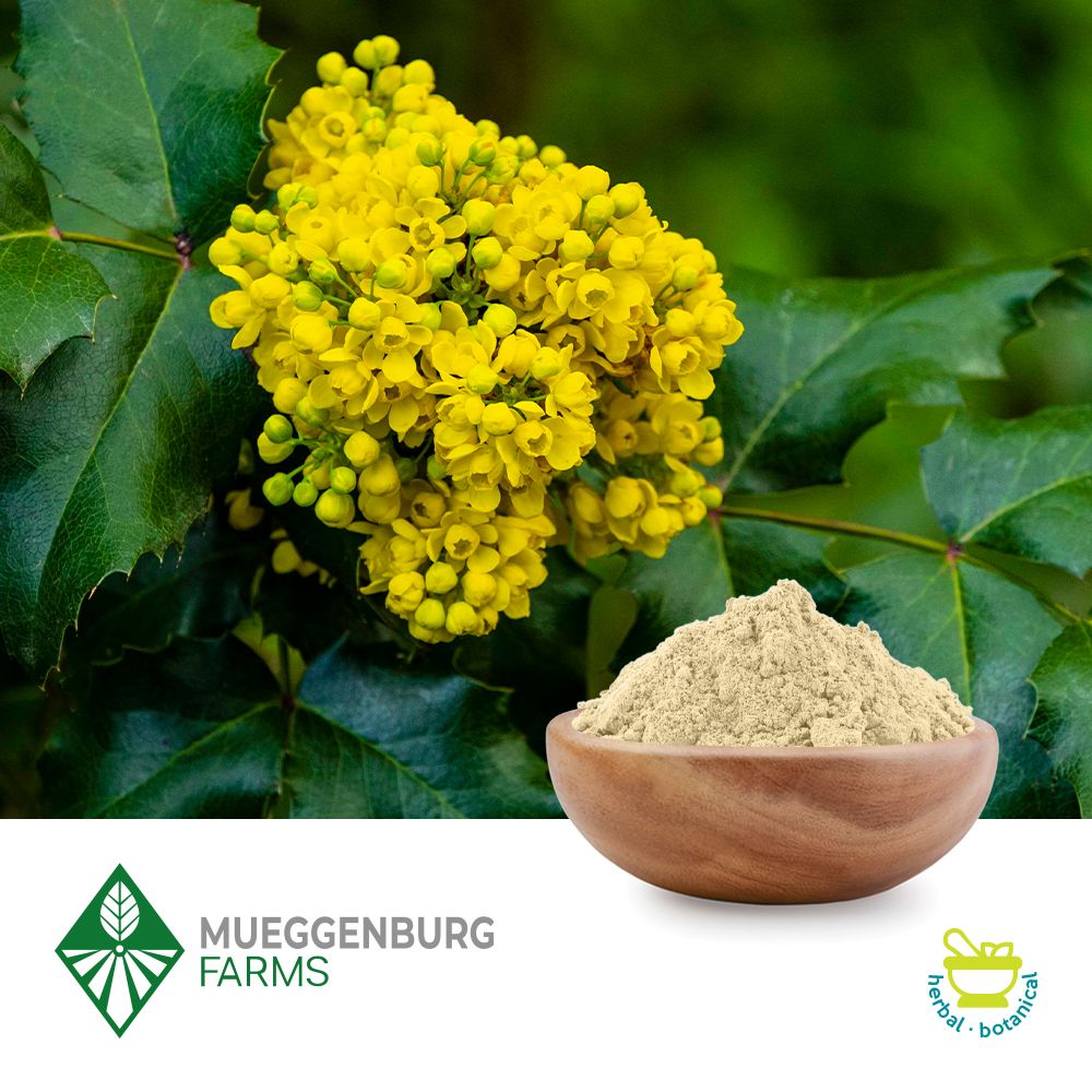 Oregon Grape Root Powder by Mueggenburg USA