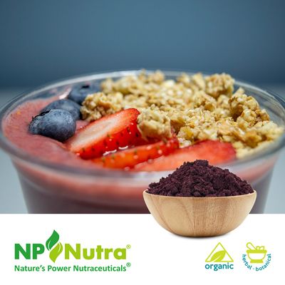 Organic Acai Juice Powder by NP Nutra