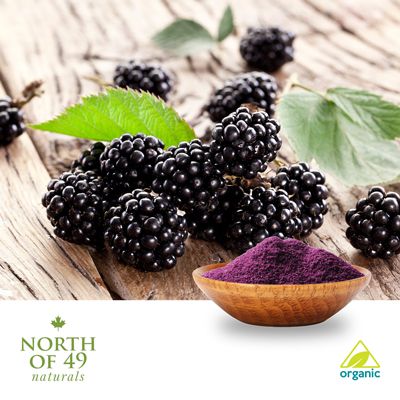 Organic Blackberry Powder by North of 49 Naturals