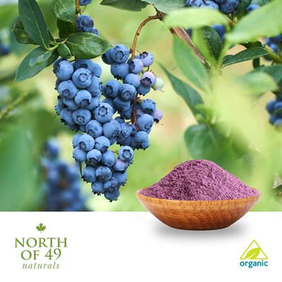 Organic Blueberry Powder by North of 49 Naturals