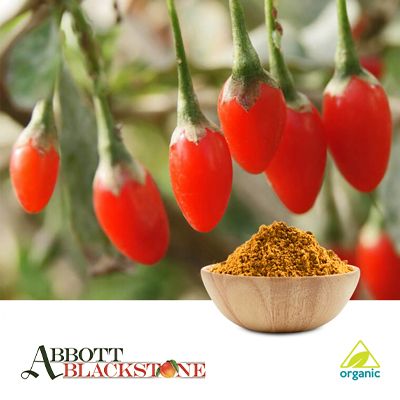 Organic Freeze Dried Goji Powder by Abbott Blackstone