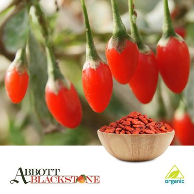Organic Goji Berries  by Abbott Blackstone