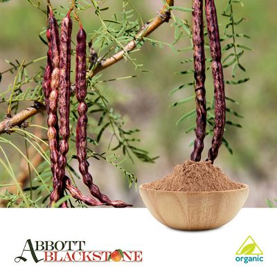 Organic Mesquite Powder by Abbott Blackstone