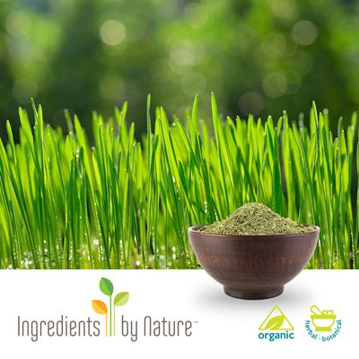Organic Wheat Grass Powder by Ingredients by Nature