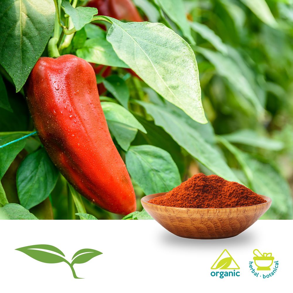 Paprika 17 ASTA, Ground (Organic) by American Botanicals