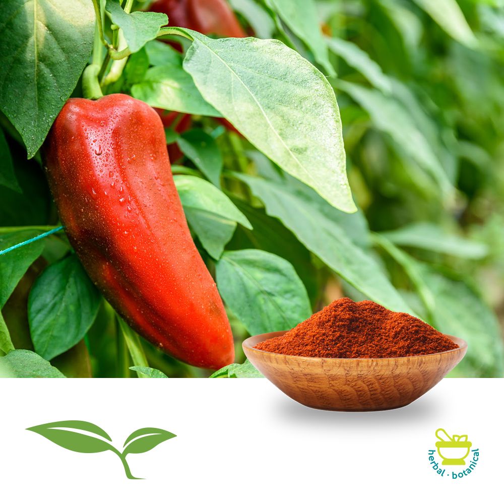 Paprika 24 ASTA, Ground by American Botanicals