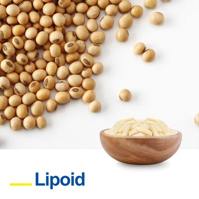 PHOSPHOLIPON® 90 G Soybean Phosphatidylcholine by Lipoid GmbH