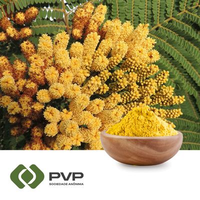 Quercetin Anhydrous Powder by PVP Sociedade Anônima