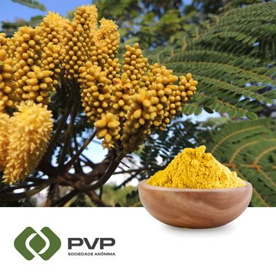 Quercetin Dihydrate Powder by PVP Sociedade Anônima