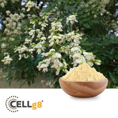 CELLg8® Quercetin (Liposomal Quercetin 70%) by CELLg8