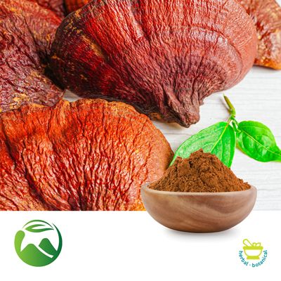Reishi Mushroom Powder by Xi'an Herbs Valley