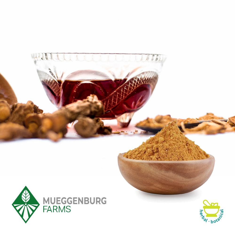 Sarsaparilla Root Powder by Mueggenburg USA