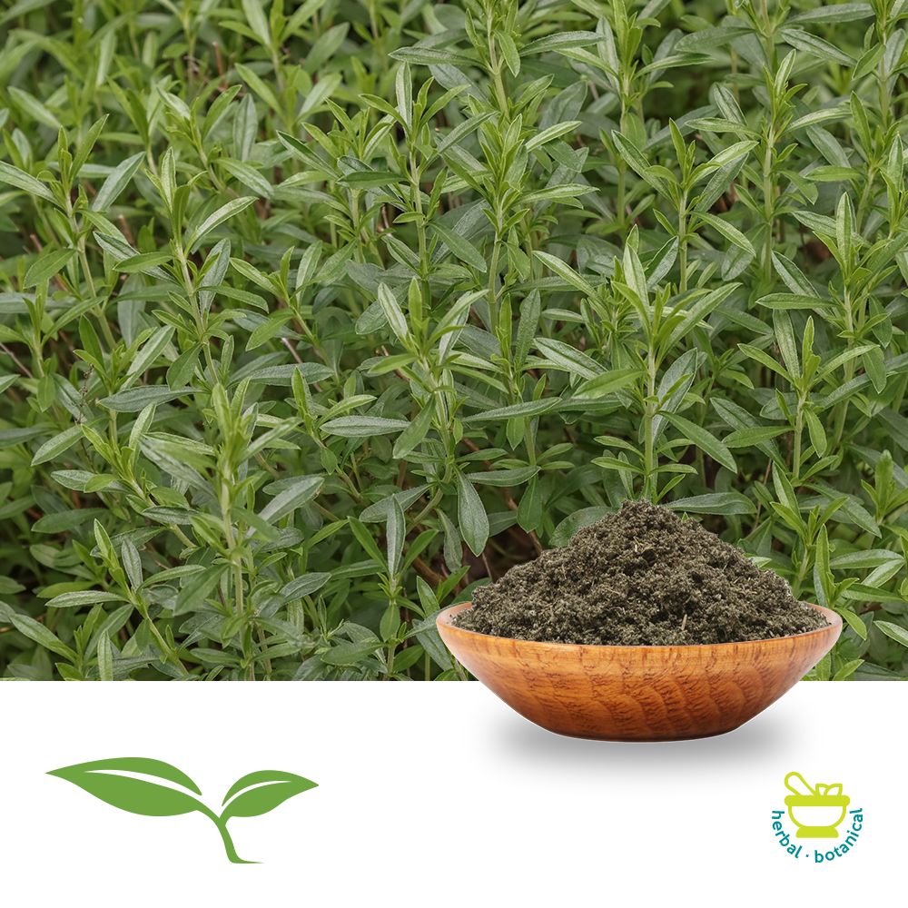 Savory, Ground by American Botanicals