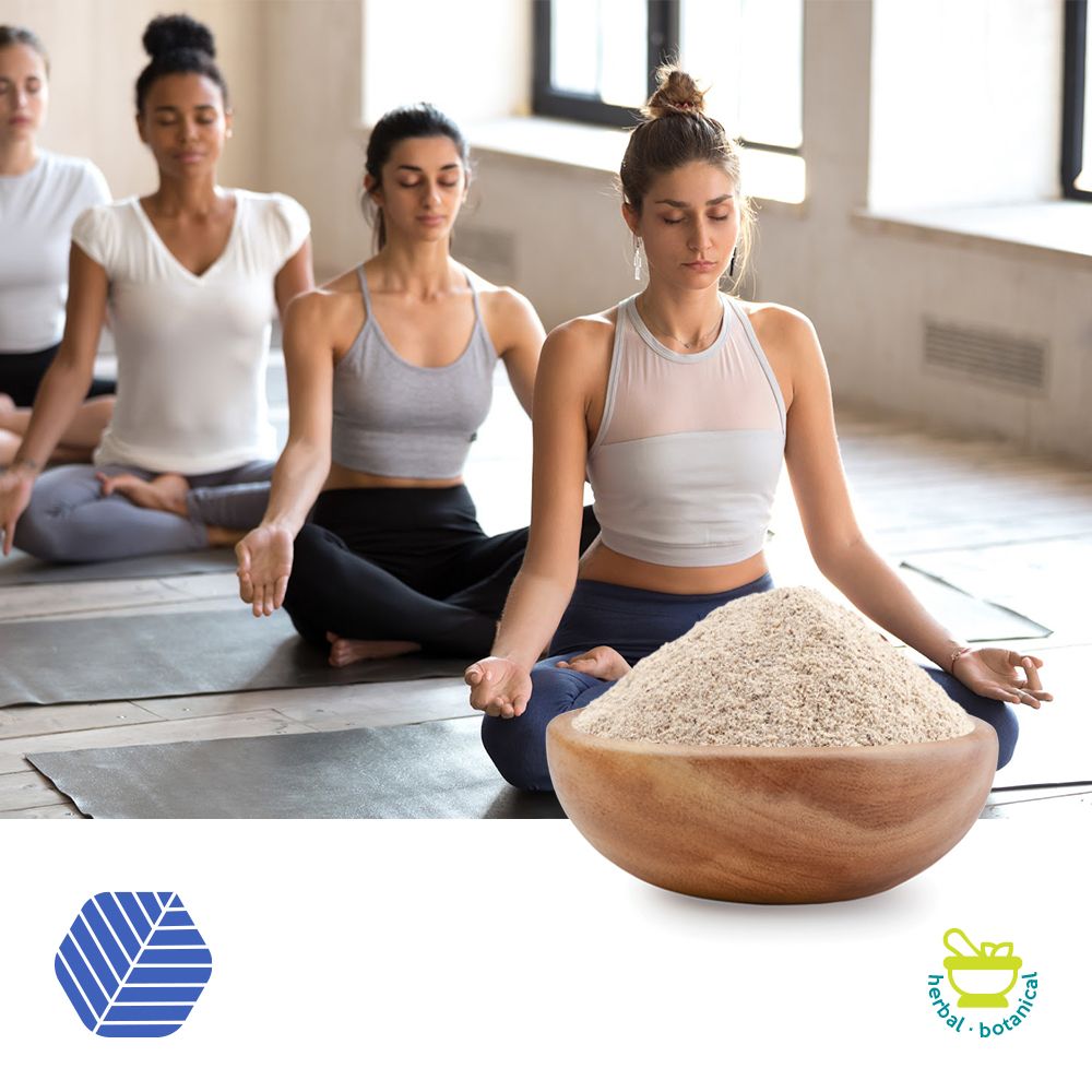 Serocen™ (Centella asiatica Extract Powder) by Natrusolate