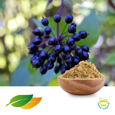 Siberian Ginseng Extract 0.8% Eleutherosides by Shandong Lirun Health Technology Co; Ltd