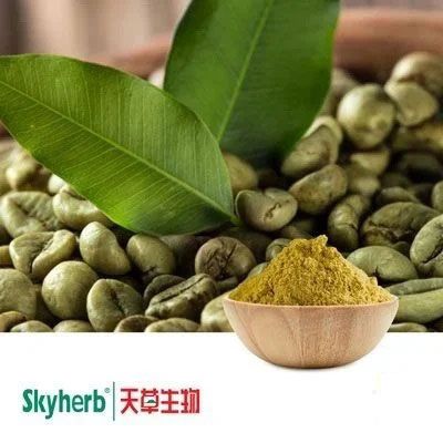 Green Coffee Bean Extract 50% Chlorogenic Acids from Robusta by Skyherb