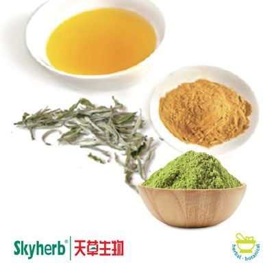 Instant Green Tea Powder by Skyherb