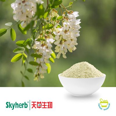 Luteolin Sophora Japonica Extract 98% by Skyherb