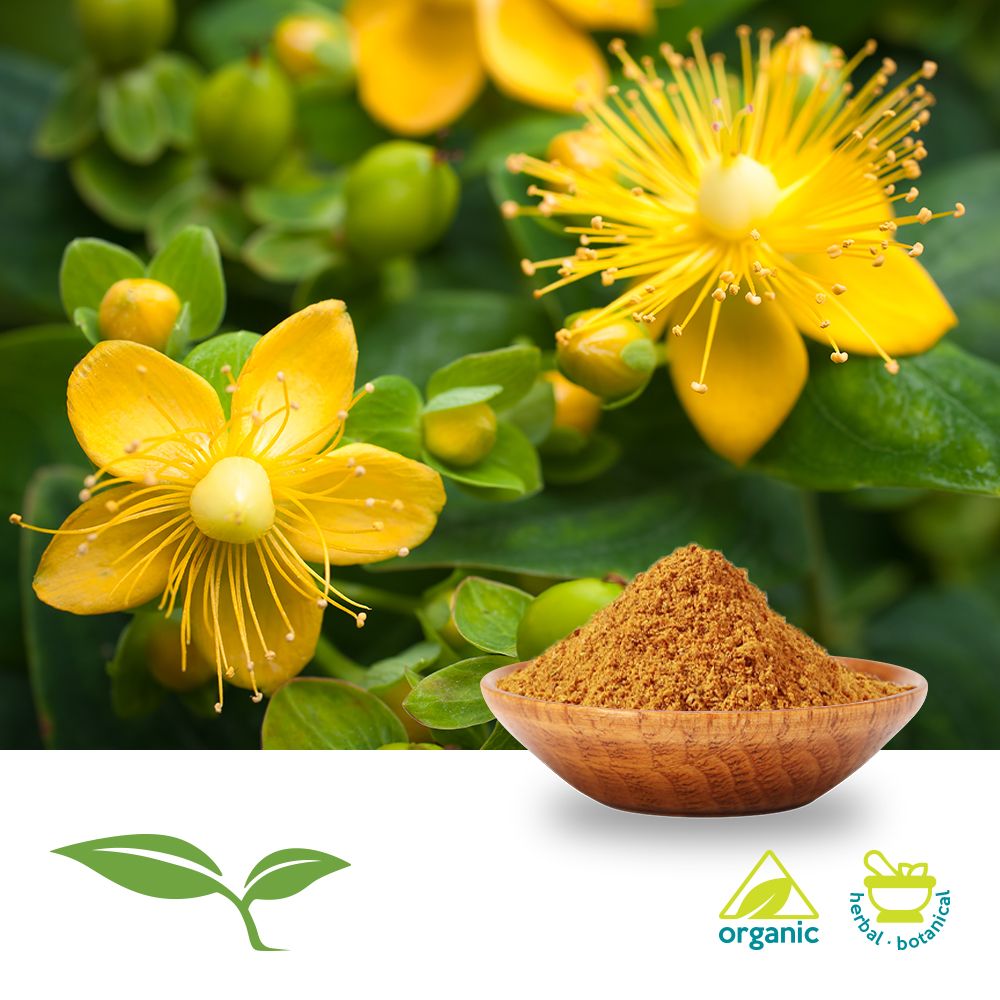 St John's Wort Herb Powder (Organic) by American Botanicals
