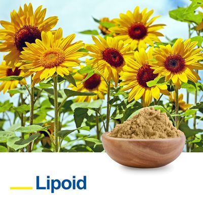 Sunflower Phosphatidylcholine (Non-GMO) with 90% Phosphatidylcholine by Lipoid GmbH