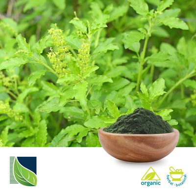 Tulsi Extract Powder Organic  by Botanic Healthcare