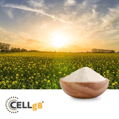 CELLg8® Vitamin D (Liposomal Vitamin D Powder) by CELLg8
